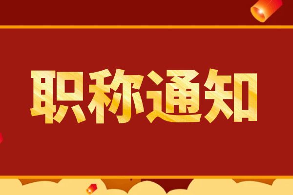 丽水浙江省人力资源和社会保障厅关于印发 《浙江省职称评审管理实施办法》（试行）的通知